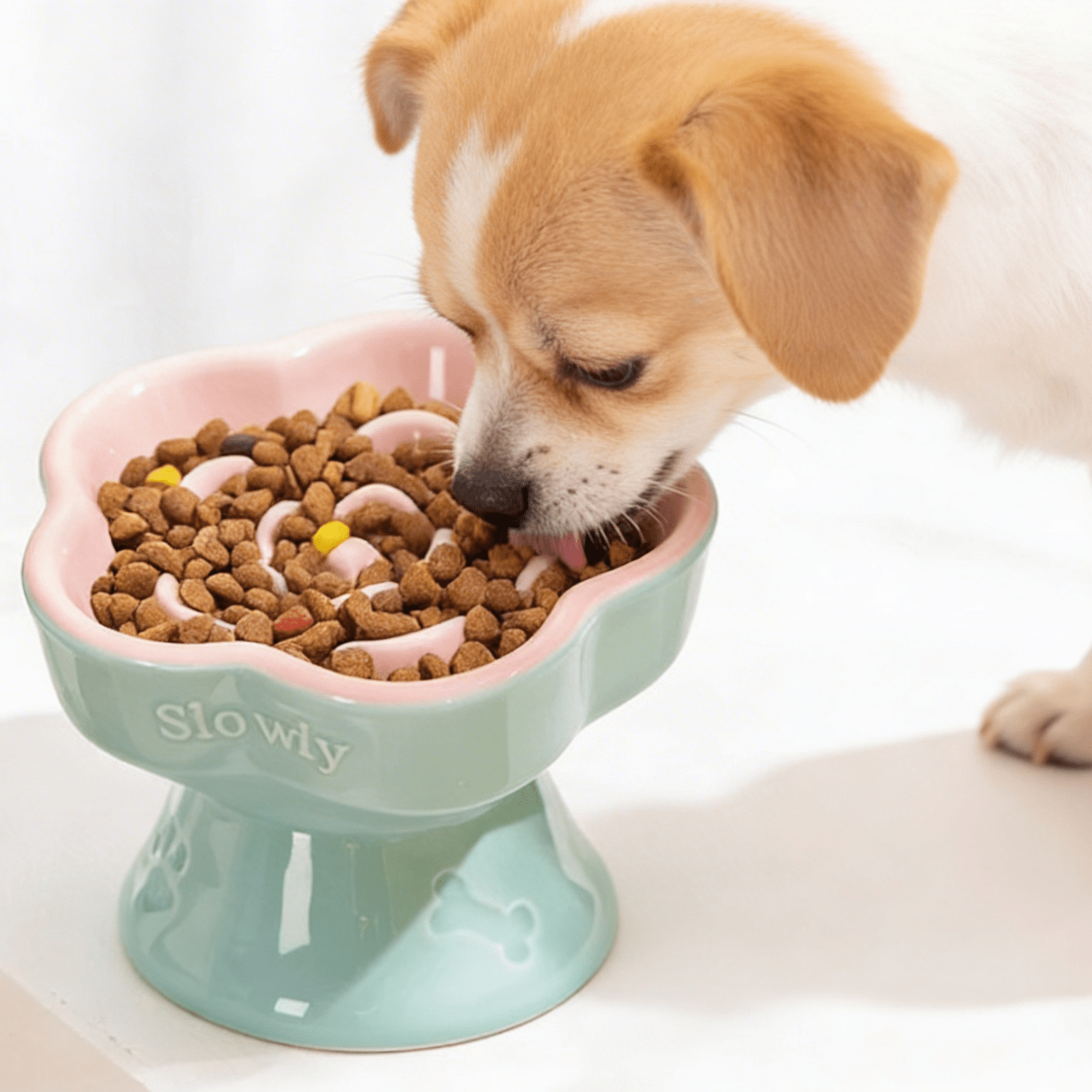 Elevated Ceramic Slow Feeder Bowl - Versi Store