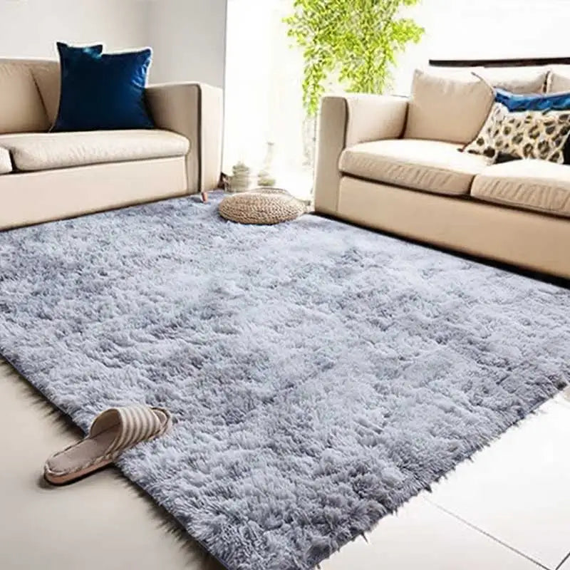 Plush Fluffy Carpet