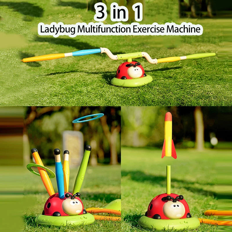 3-in-1 Ladybug Sport Toy