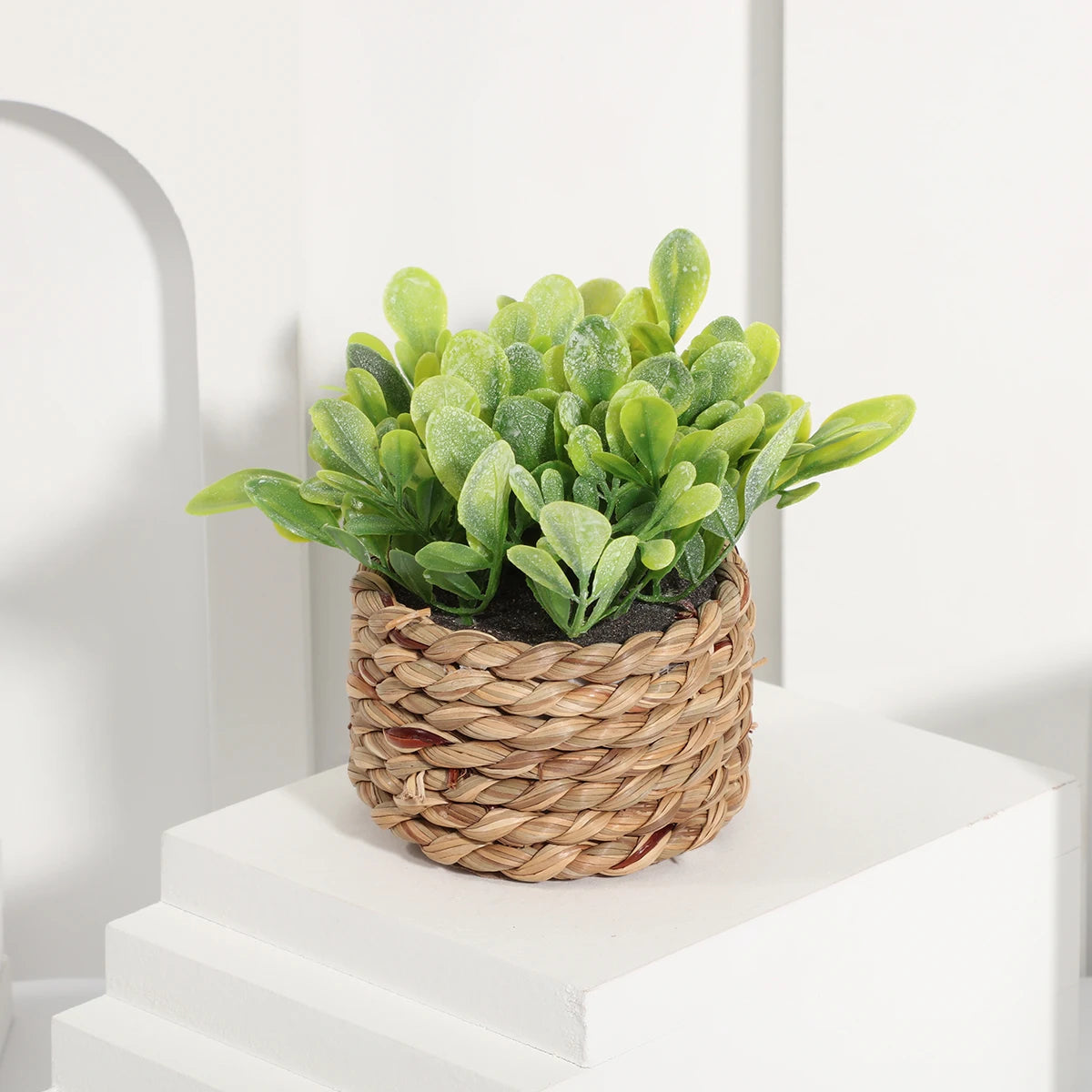 Artificial Eucalyptus Grass - Small Potted Plant