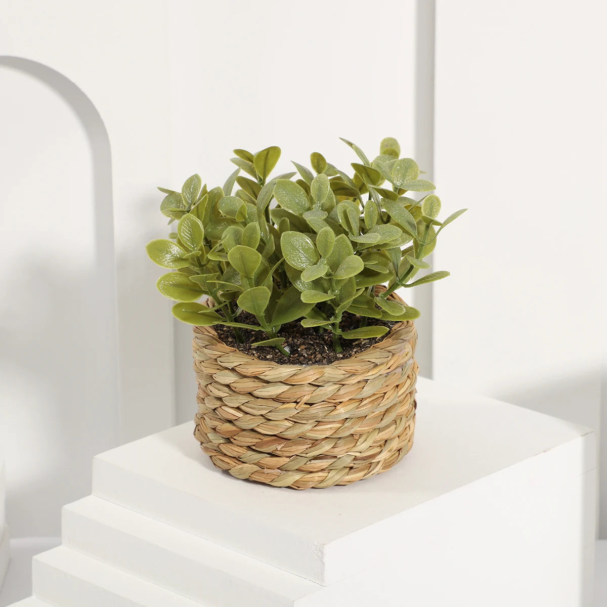 Artificial Eucalyptus Grass - Small Potted Plant