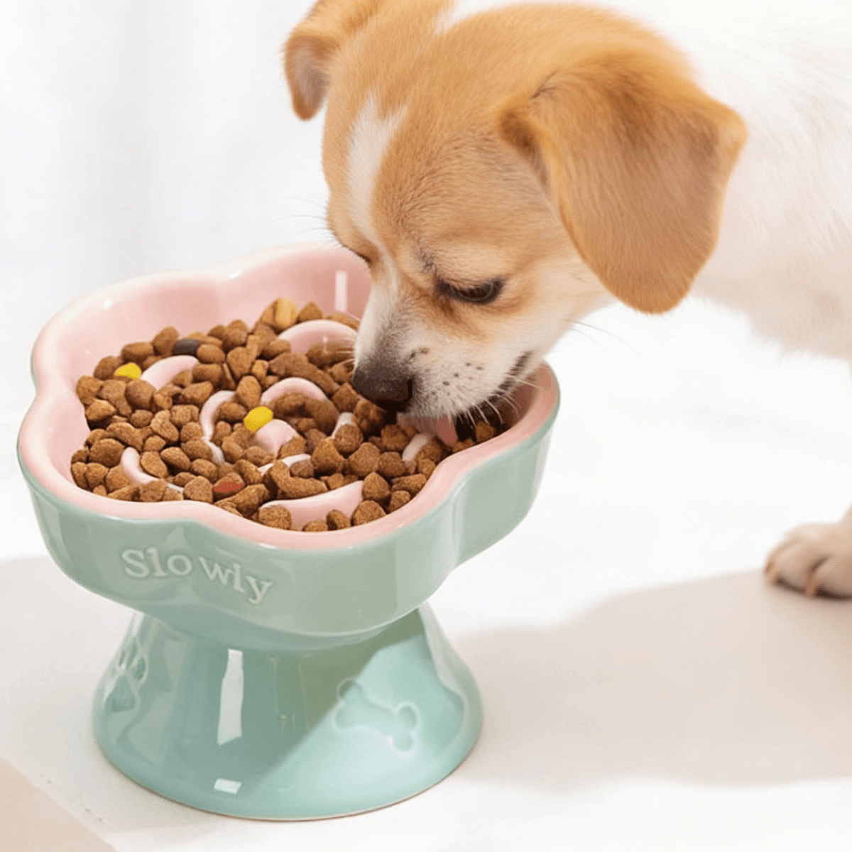 Elevated Ceramic Slow Feeder Bowl - Versi Store